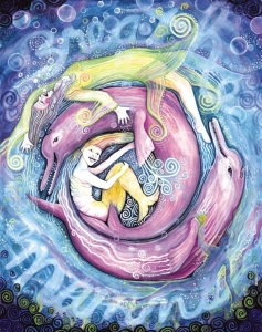 dolphin