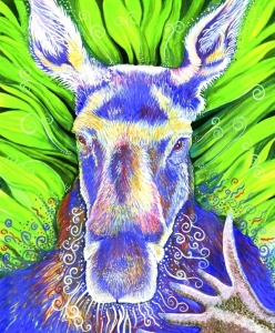 femoose
