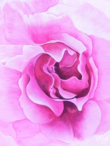 rosemystic5x7