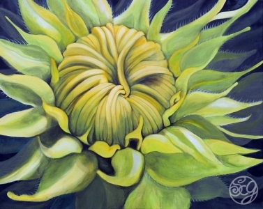 sunflowerhopesm