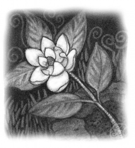 harvestflower