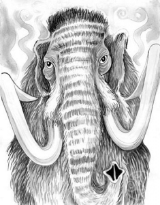 mammoth