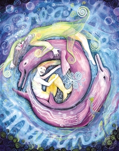 dolphin
