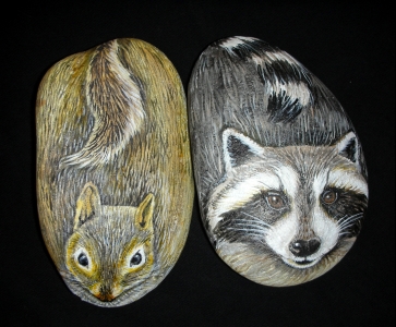 squirrelracoon